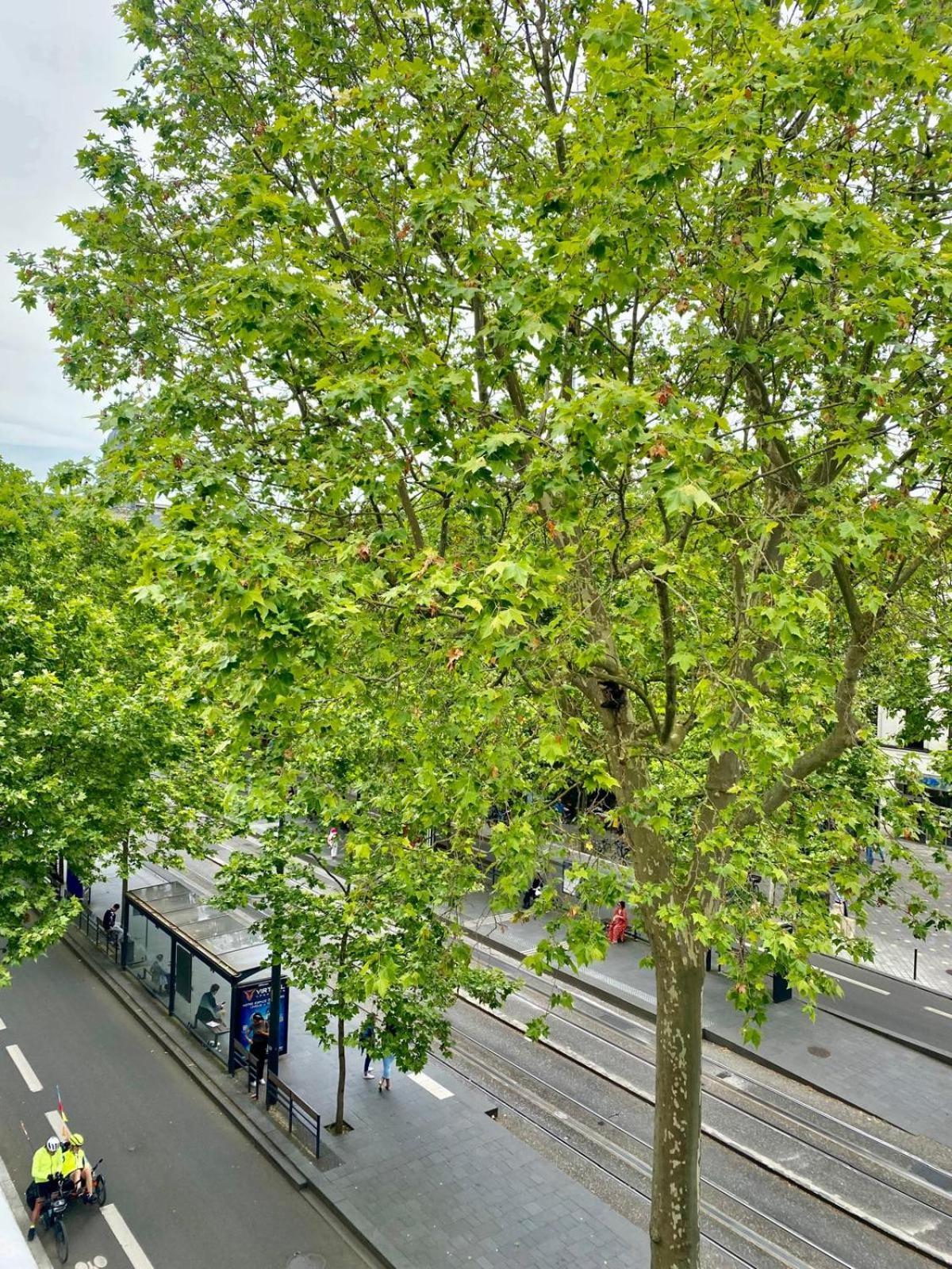 Logement Hyper Centre Jean-Jaures Daire Tours Dış mekan fotoğraf